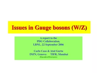 Issues in Gauge bosons (W/Z)