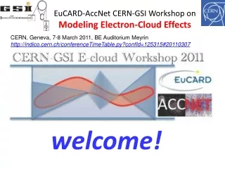 EuCARD-AccNet CERN-GSI Workshop on  Modeling Electron-Cloud Effects