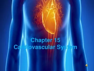 Chapter 15 Cardiovascular System