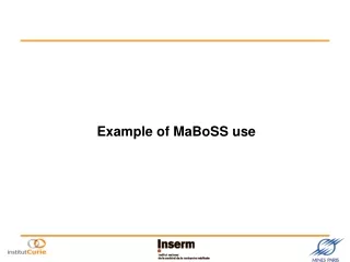 Example of MaBoSS use