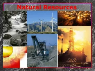 Natural Resources