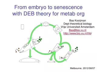 From embryo to senescence with DEB theory for metab org