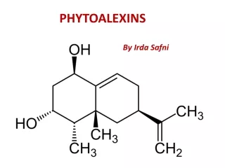 PHYTOALEXINS
