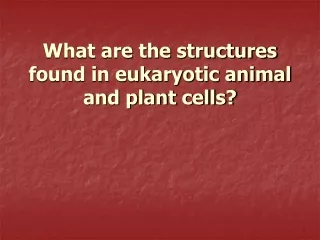 What are the structures found in eukaryotic animal and plant cells?