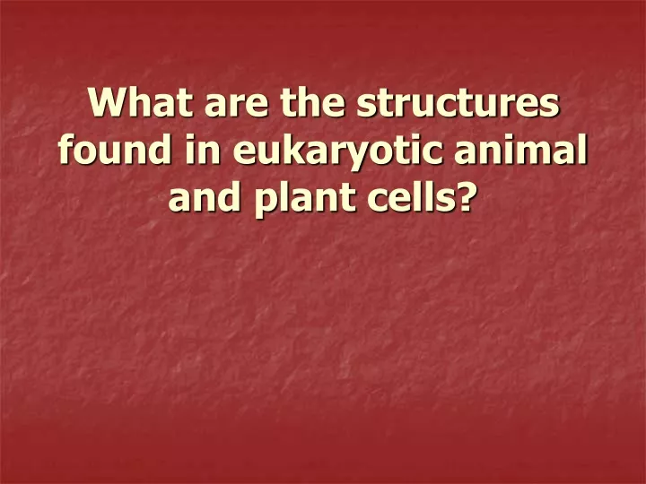 what are the structures found in eukaryotic animal and plant cells