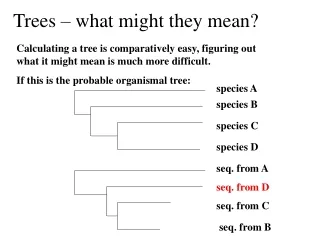 Trees – what might they mean?