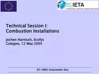 Technical  Session I:  Combustion Installations Jochen Harnisch, Ecofys  Cologne, 12 May 2005