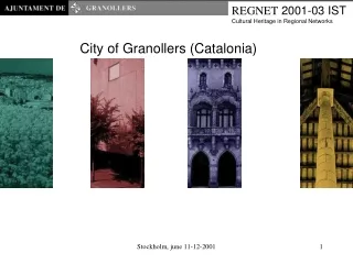 REGNET  2001-03 IST Cultural Heritage in Regional Networks