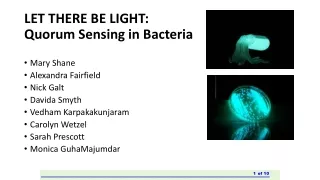 LET THERE BE LIGHT:  Quorum Sensing in Bacteria