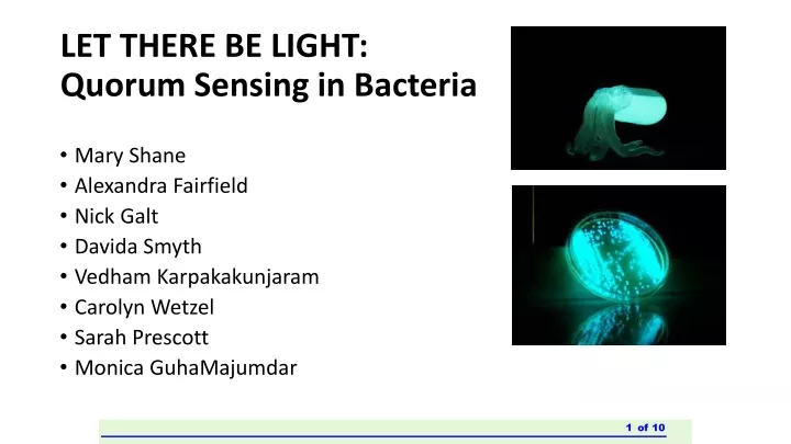 let there be light quorum sensing in bacteria