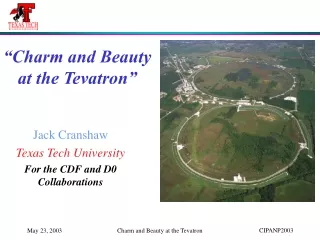 “Charm and Beauty at the Tevatron”