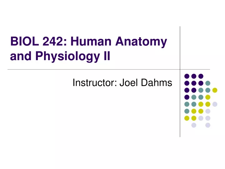 PPT - BIOL 242: Human Anatomy And Physiology II PowerPoint Presentation ...