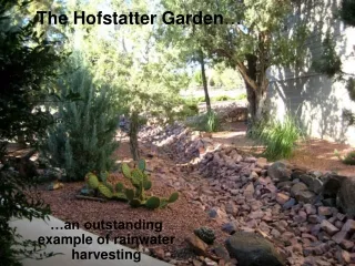 The Hofstatter Garden …