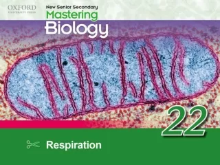 Think about… 22.1	Basic concepts of respiration 22.2	Site of respiration 22.3	Aerobic respiration