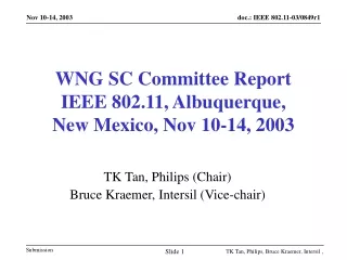 WNG SC Committee Report IEEE 802.11, Albuquerque,  New Mexico, Nov 10-14, 2003