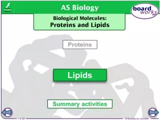 Introduction to lipids
