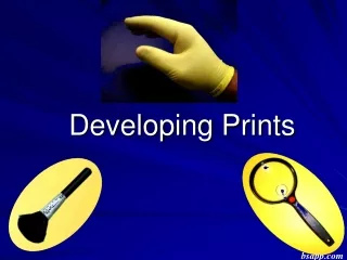 Developing Prints