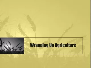 Wrapping Up Agriculture