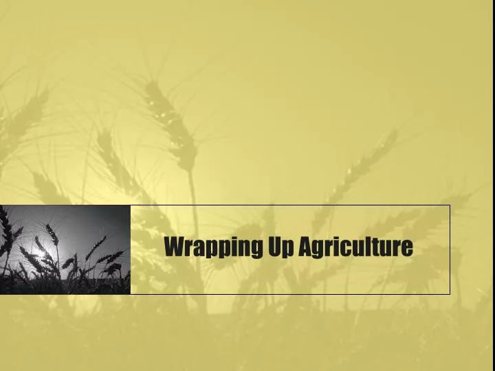 wrapping up agriculture