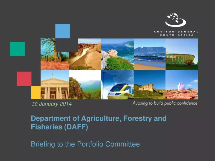 department of agriculture forestry and fisheries daff briefing to the portfolio committee