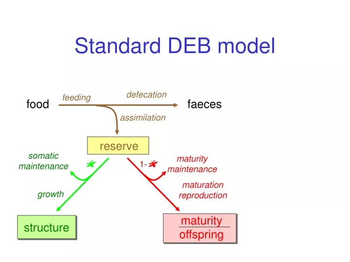 standard deb model