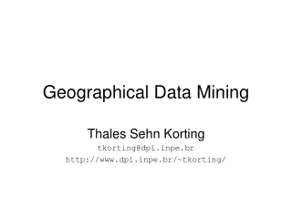 Geographical Data Mining