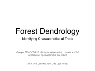 Forest Dendrology