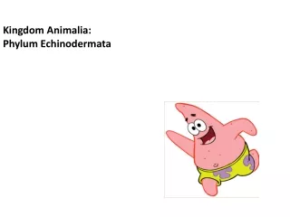 Kingdom Animalia: Phylum Echinodermata