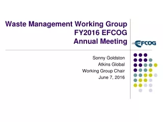 Waste Management Working Group  FY2016 EFCOG  Annual Meeting