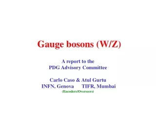 Gauge bosons (W/Z)