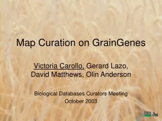 Map Curation on GrainGenes