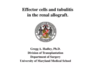 Gregg A. Hadley, Ph.D. Division of Transplantation  Department of Surgery