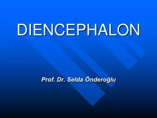 DIENCEPHALON