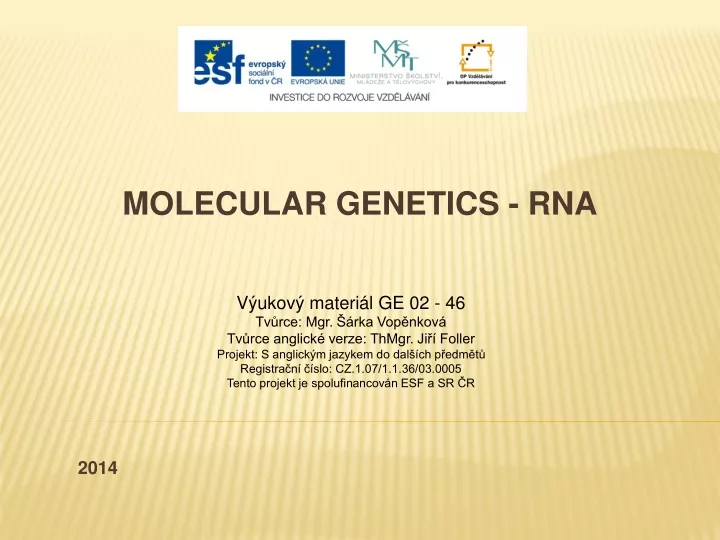 molecular genetics rna