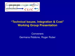 “Technical Issues, Integration &amp; Cost” Working Group Presentation