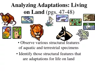 Analyzing Adaptations: Living on Land  (pgs. 47-48)