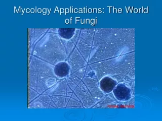 Mycology Applications: The World of Fungi