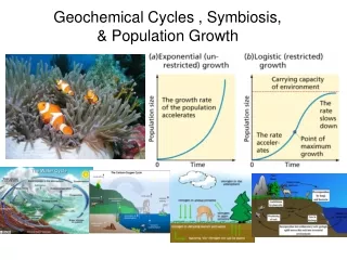 Geochemical Cycles , Symbiosis,   &amp; Population Growth
