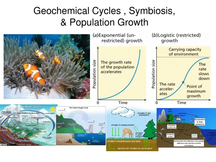 geochemical cycles symbiosis population growth
