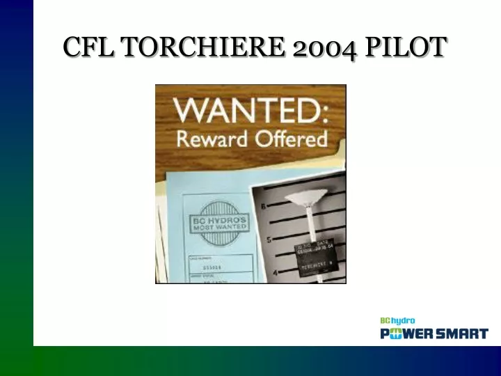 cfl torchiere 2004 pilot