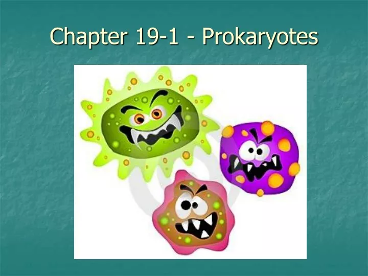 chapter 19 1 prokaryotes
