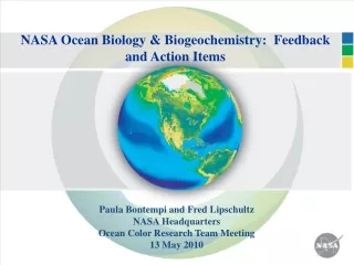 NASA Ocean Biology &amp; Biogeochemistry:  Feedback and Action Items