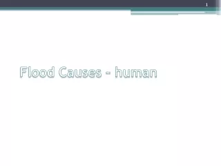 Flood Causes - human