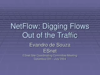 NetFlow: Digging Flows Out of the Traffic