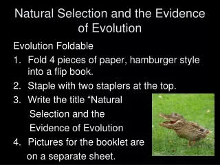 Natural Selection and the Evidence of Evolution