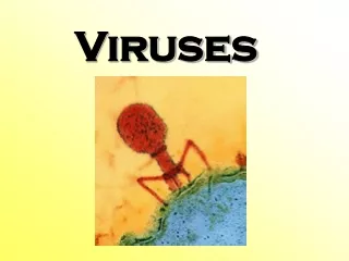 Viruses