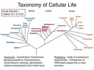 Taxonomy of Cellular Life