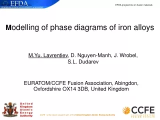 M odelling of phase diagrams of iron alloys
