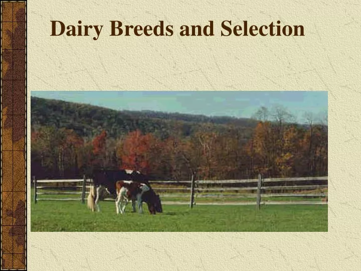 dairy breeds and selection