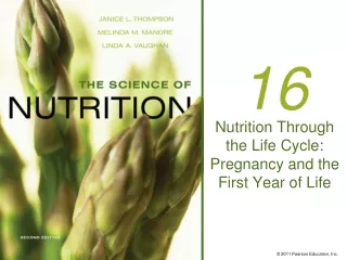 Nutrition Through the Life Cycle: Pregnancy and the First Year of Life